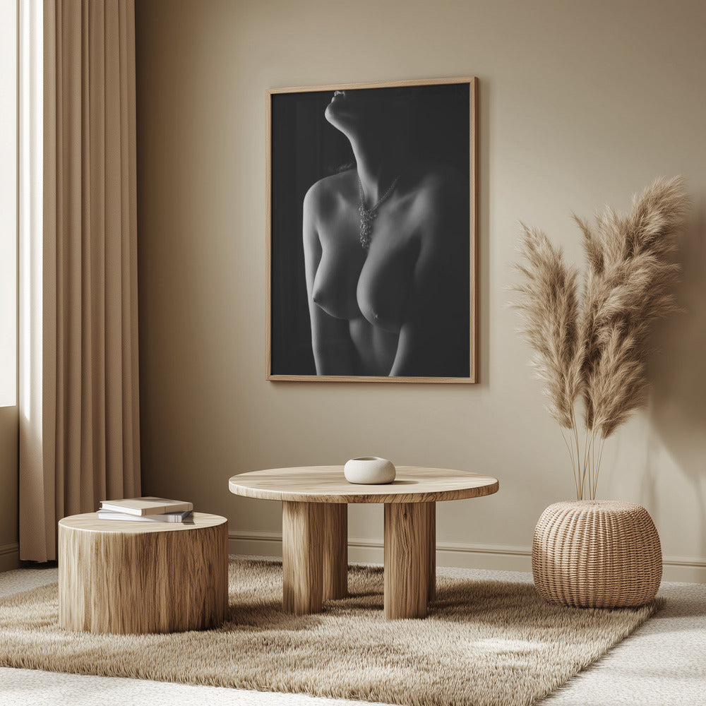 Nude curves | Poster