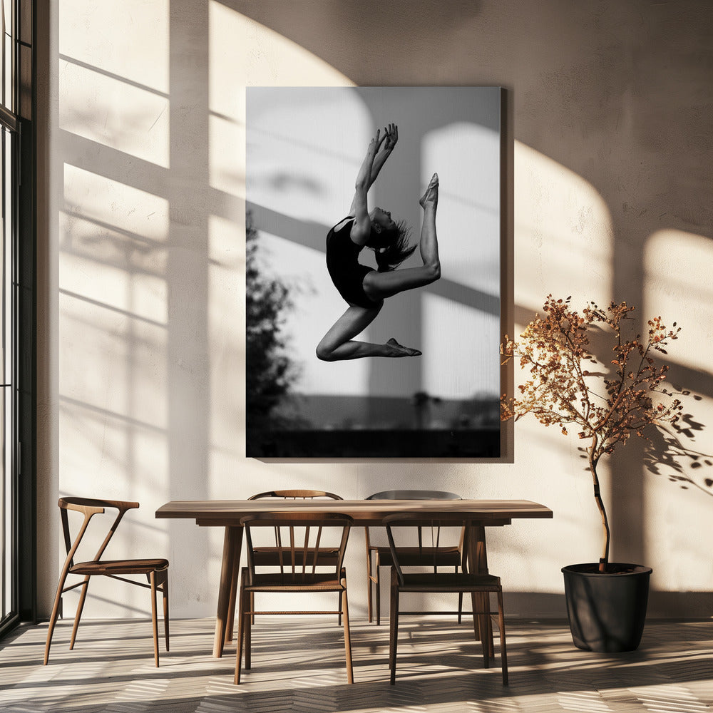 Dans | Canvas