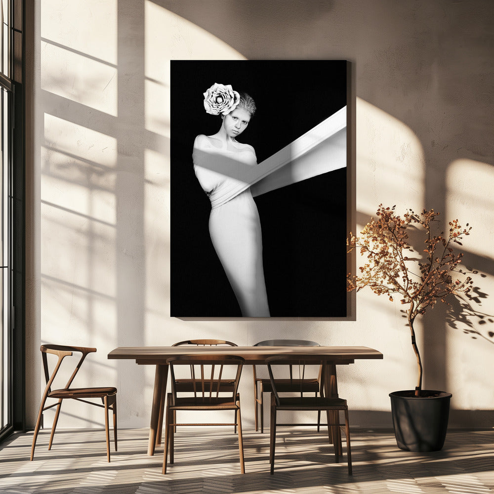 Énigme élégante | Tableaux sur Toile