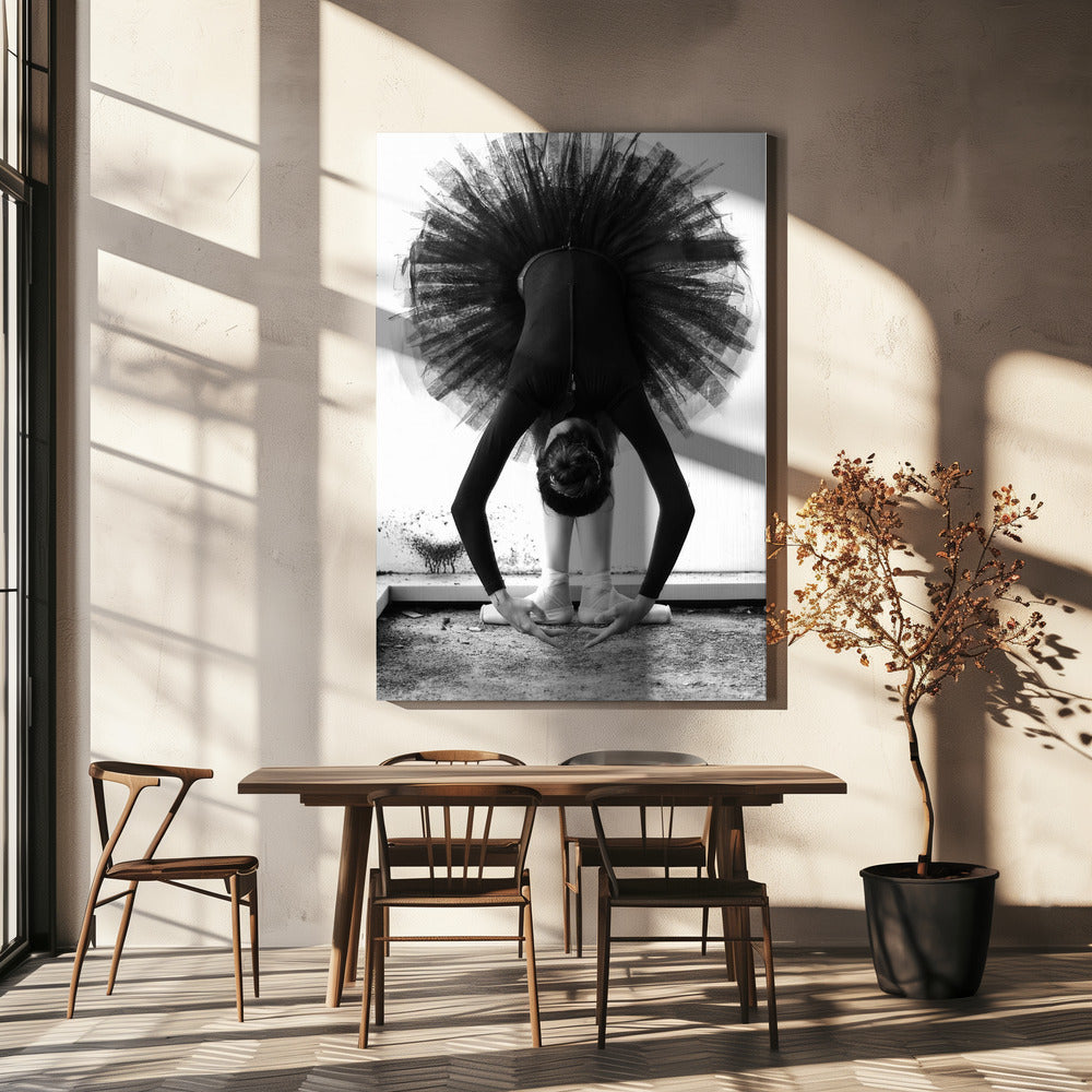 Balerina | Canvas