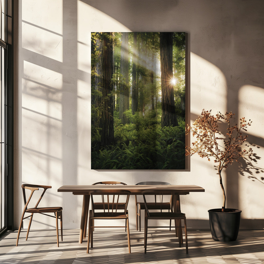 Sprookjesbos | Canvasprints