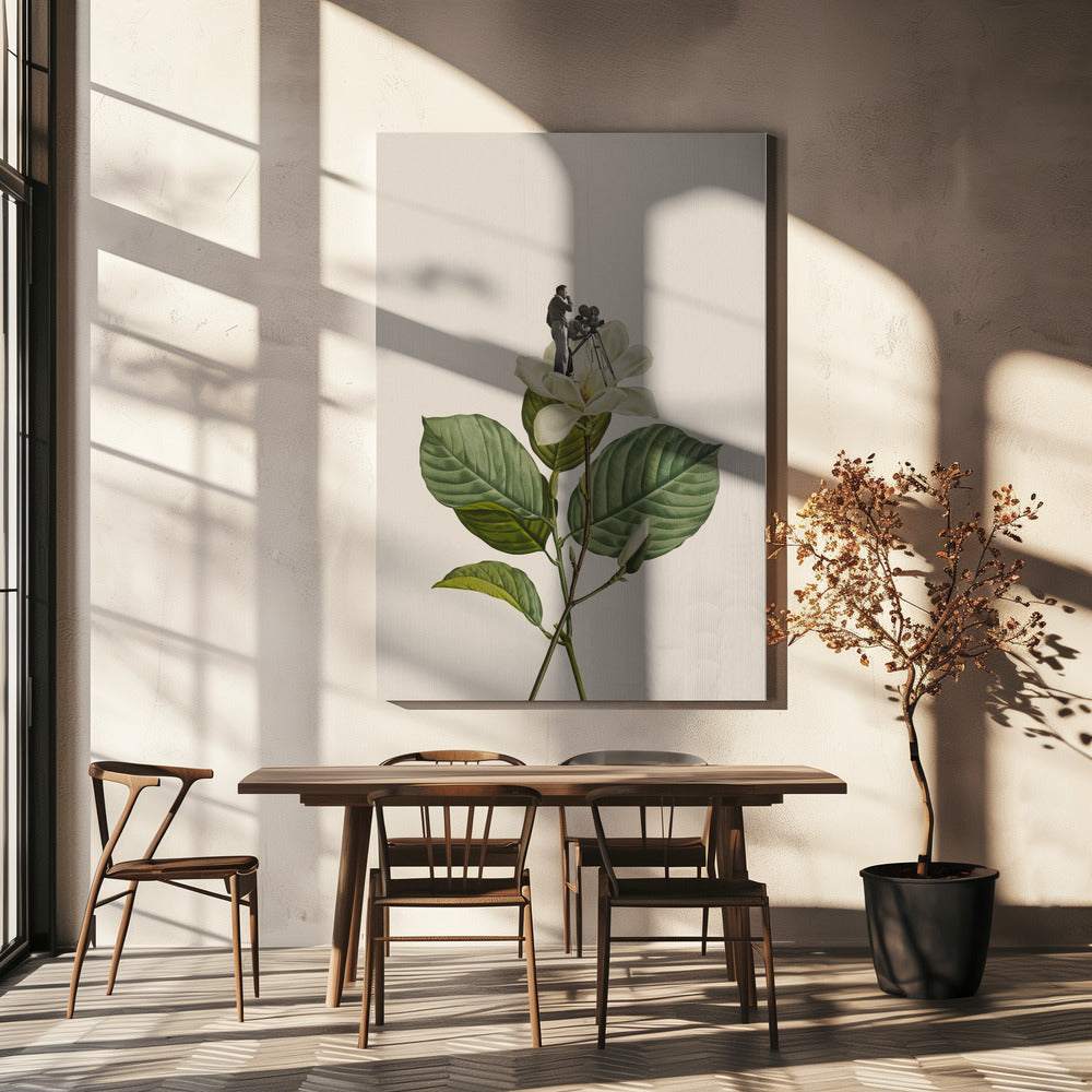 Botanisk vintage kameramann | Lerretsbilder