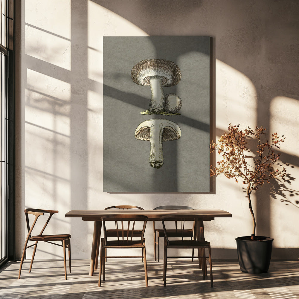 Fältsvamp | Canvas