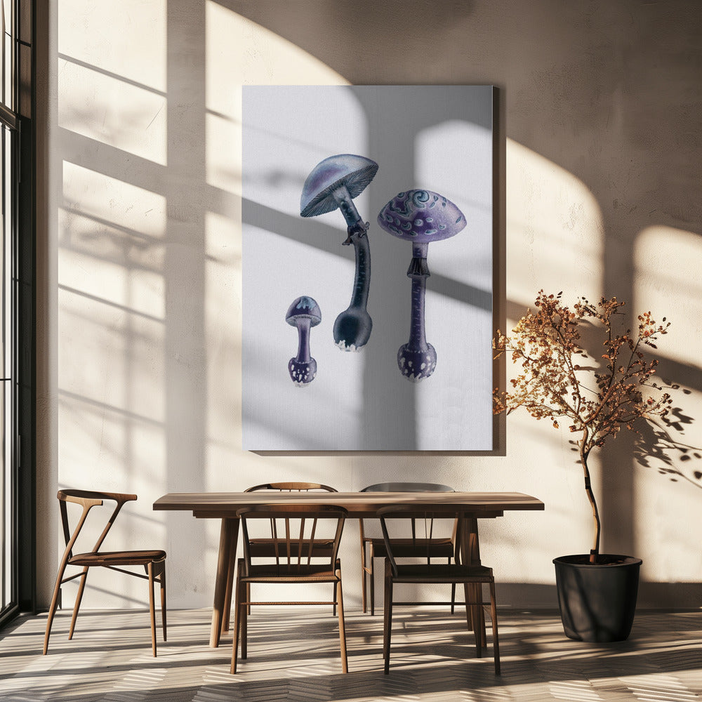 Amanita Muscaria  White Backgound Purple | Canvas