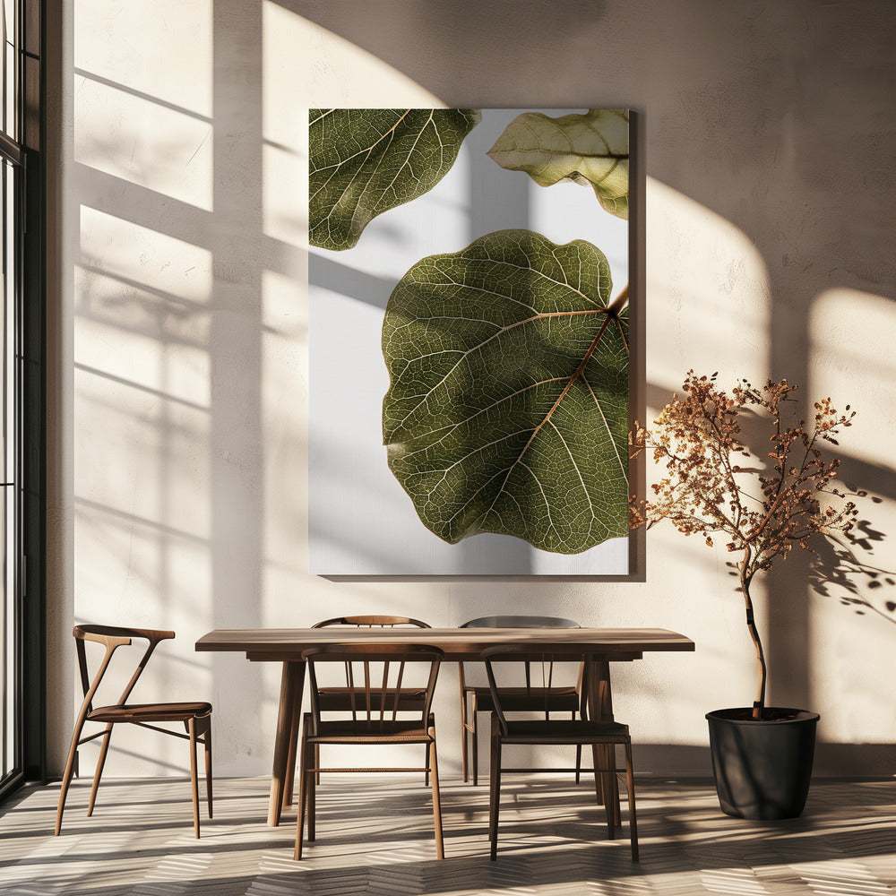 Abutifolia nr 2 | Wydruki na łótnie