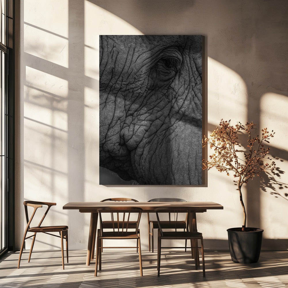 Elefante 01 | Stampe su Tela