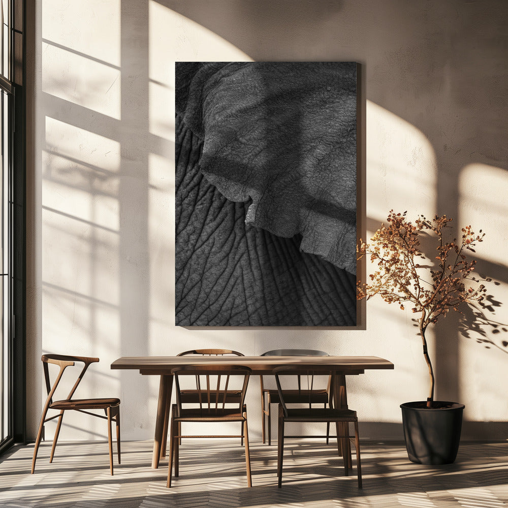 Olifant 02 | Canvas