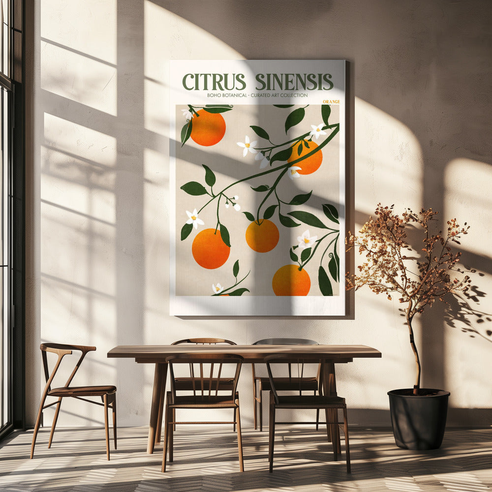 Citrus Sinensis - Naranja | Impresiones en Lienzo