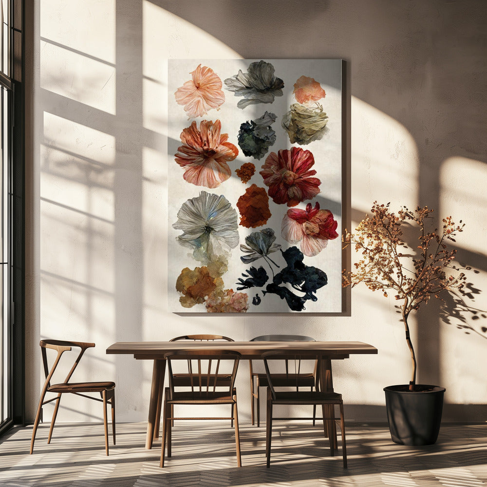 Colección de flores secas | Impresiones en Lienzo