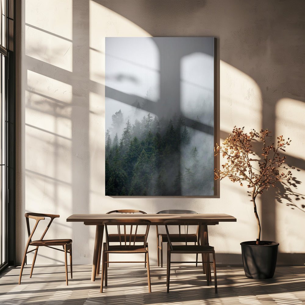 Foggy Morning 2 | Canvas