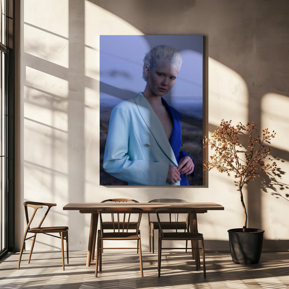 DE SNEEUWKONINGIN | Canvasprints