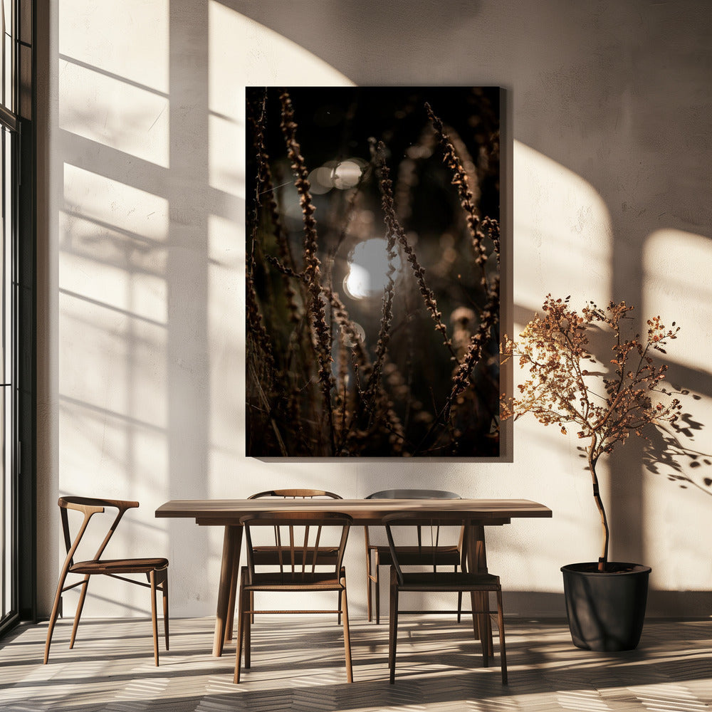 Herfstverlichting 2 | Canvasprints