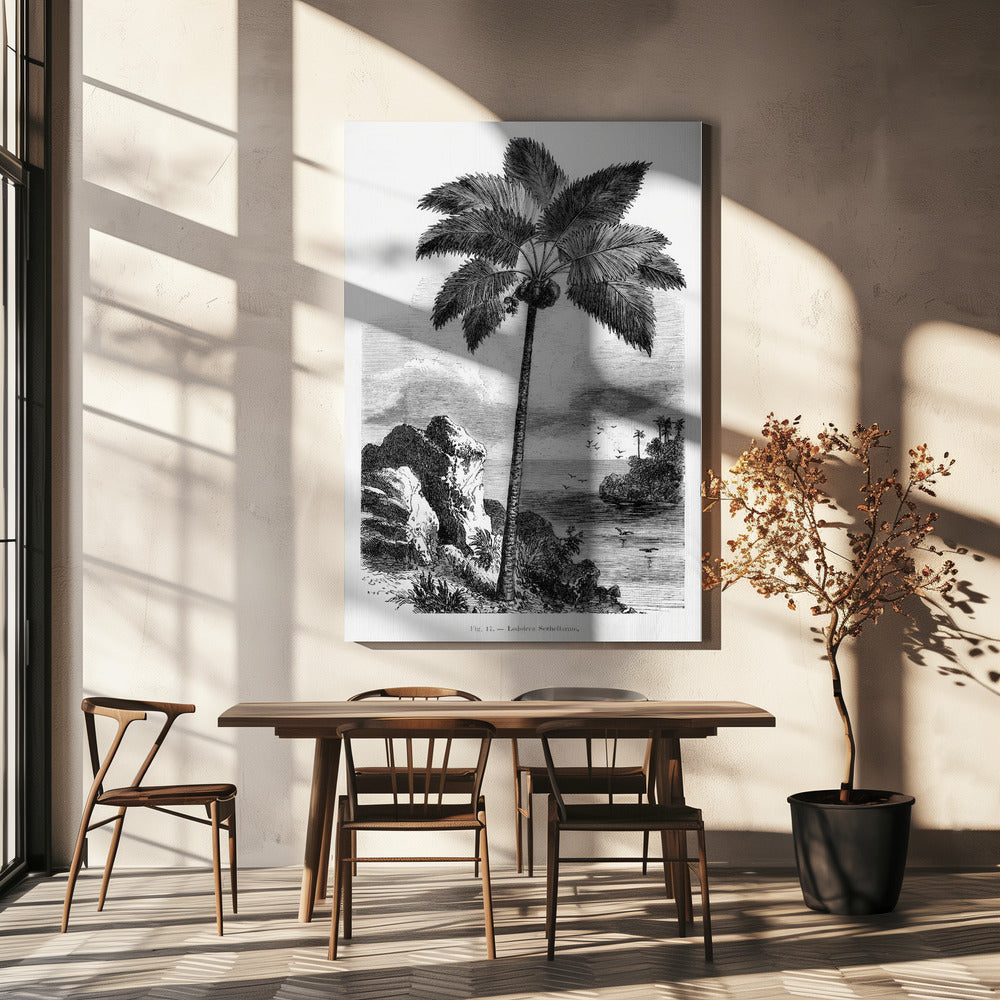 Dibujo de palmera vintage I | Impresiones en Lienzo