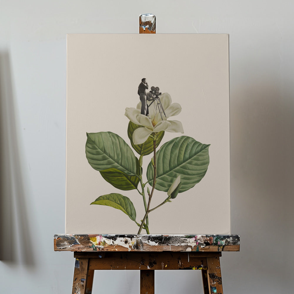 Botanisk vintage kameramann | Lerretsbilder