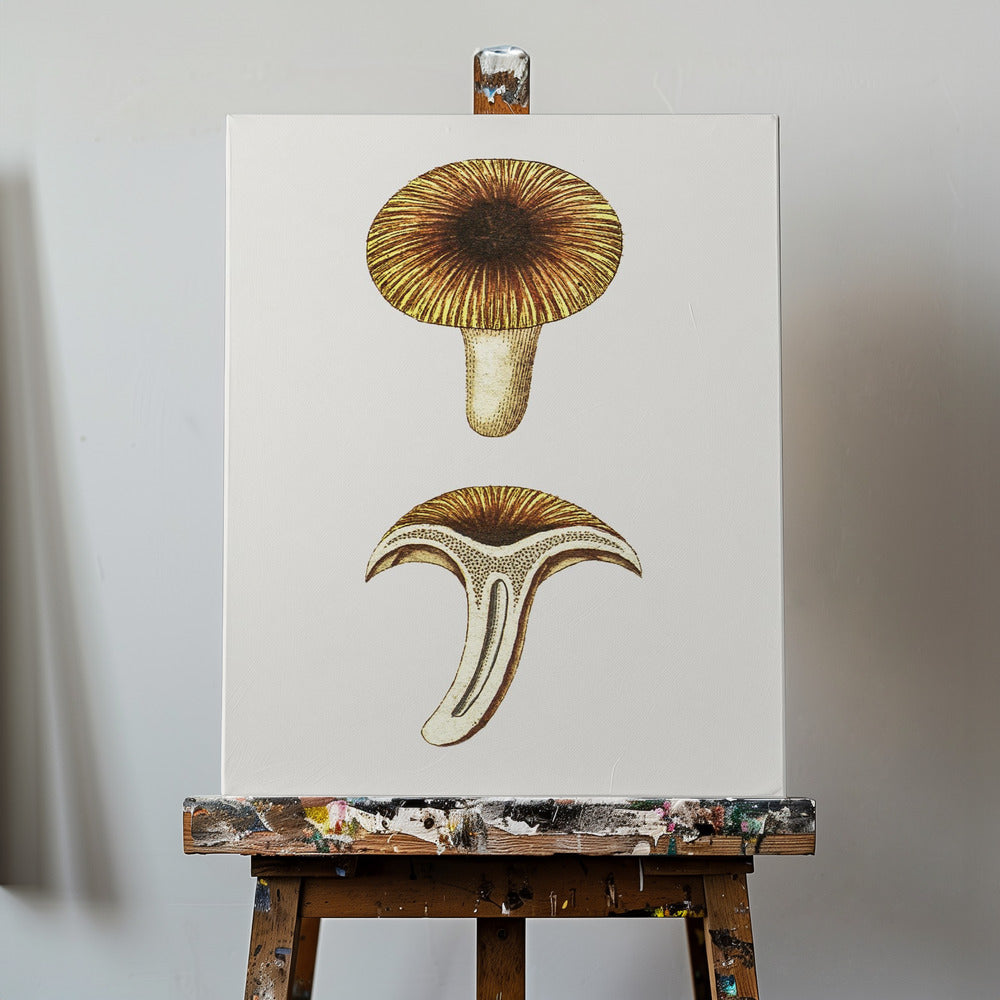 Grzyby jadalne Vintage Chanterelles | Wydruki na łótnie