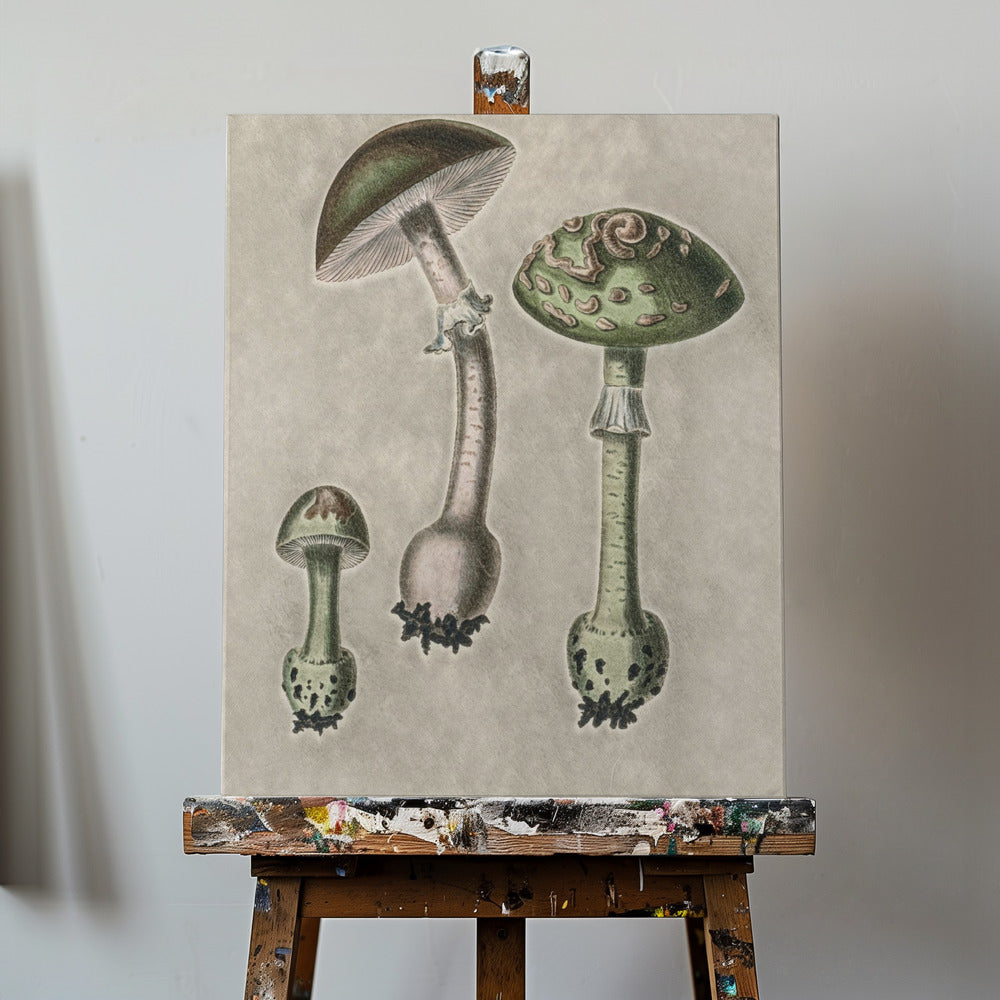 Amanita Muscaria Remix Grøn | Lærredsbilleder