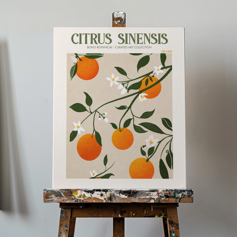 Citrus Sinensis - Sinaasappel | Canvasprints