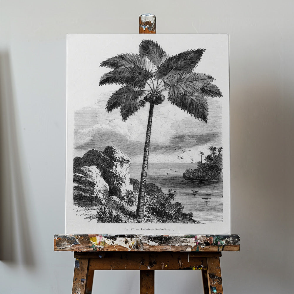 Dibujo de palmera vintage I | Impresiones en Lienzo