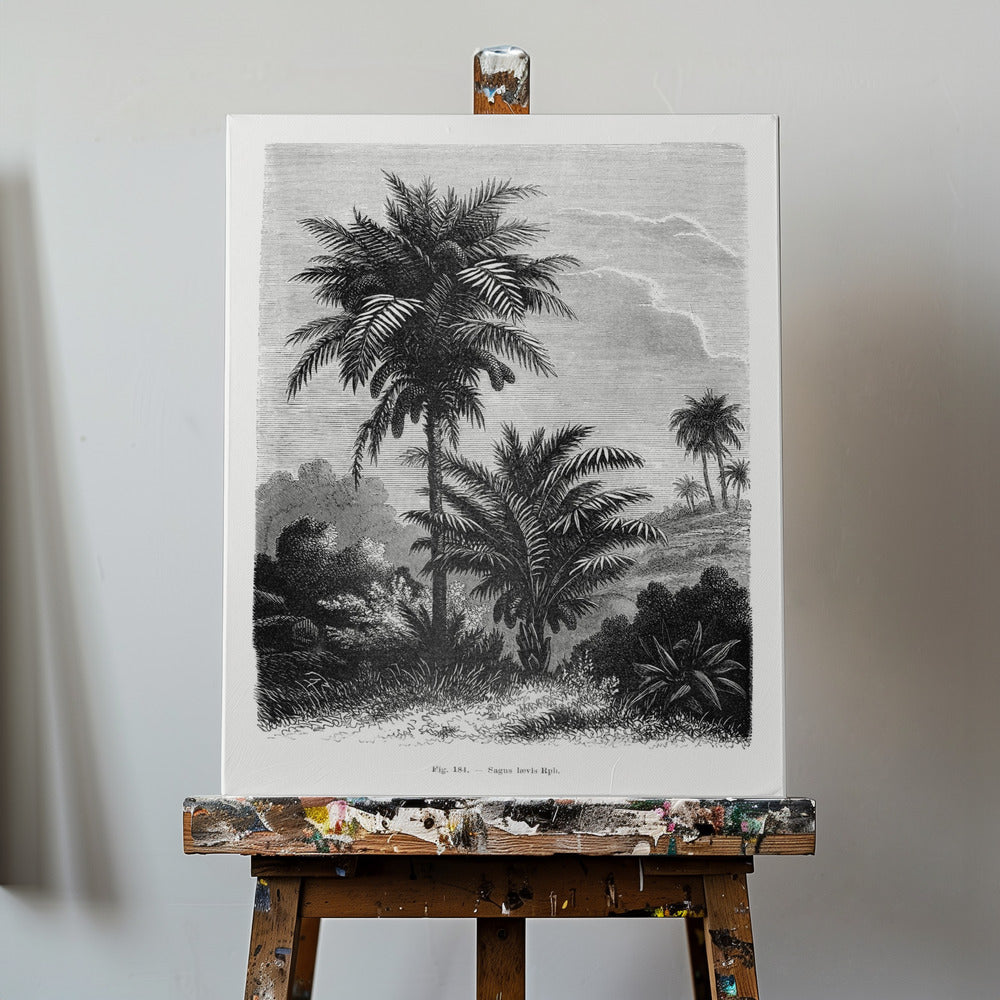 Dibujo de palmera vintage V | Impresiones en Lienzo
