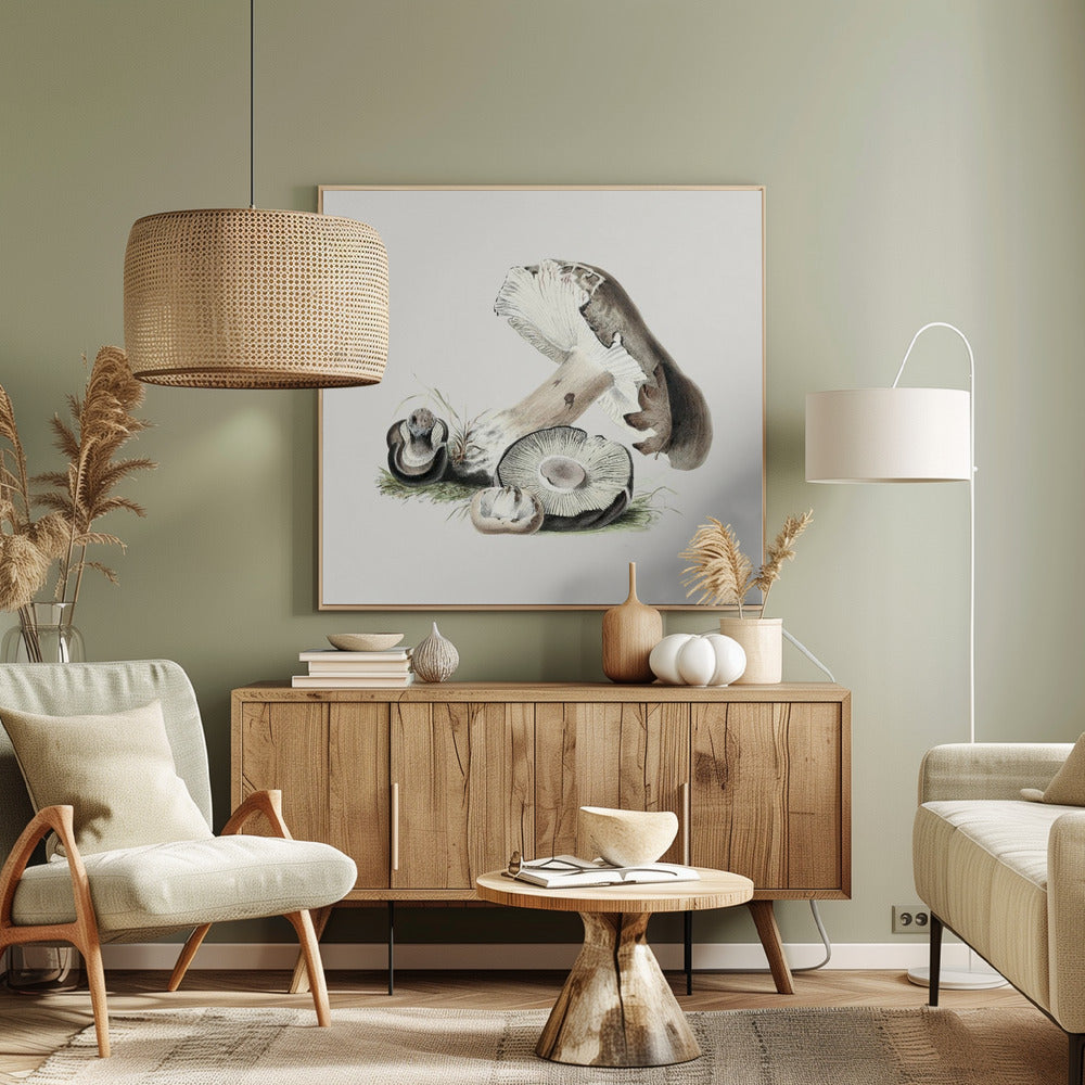 Vintage Agaricus Augustus svamp | Canvas