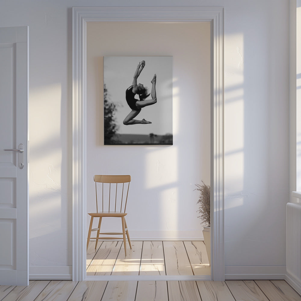 Dans | Canvas