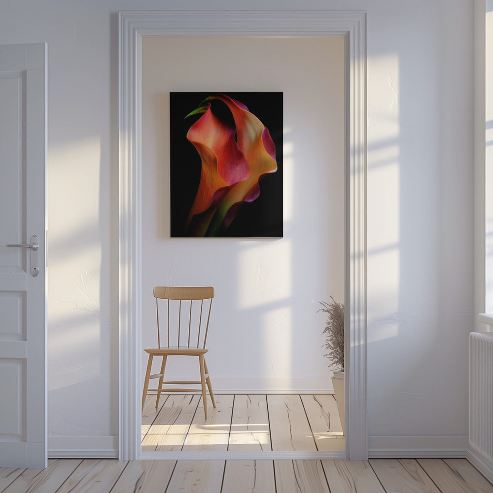 Tenderness | Canvas