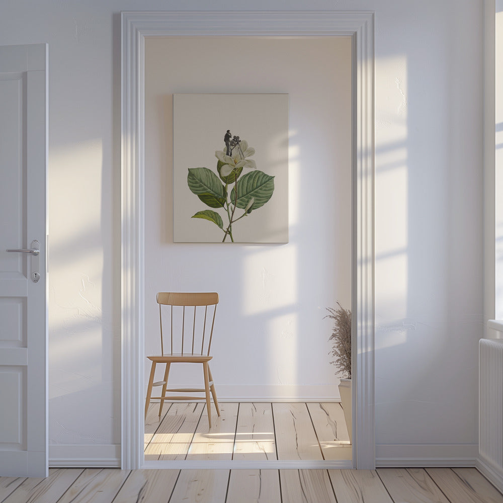 Botanisk vintage kameramann | Lerretsbilder