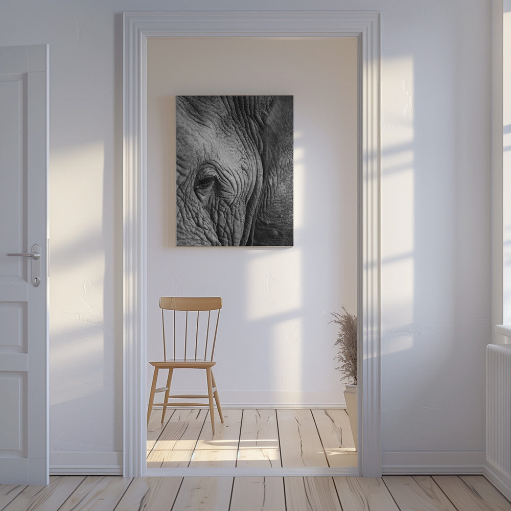 Elephant Study | Canvas
