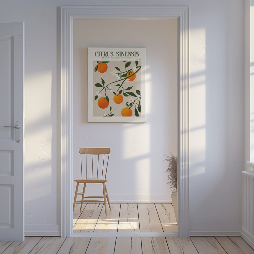 Citrus Sinensis - Sinaasappel | Canvasprints