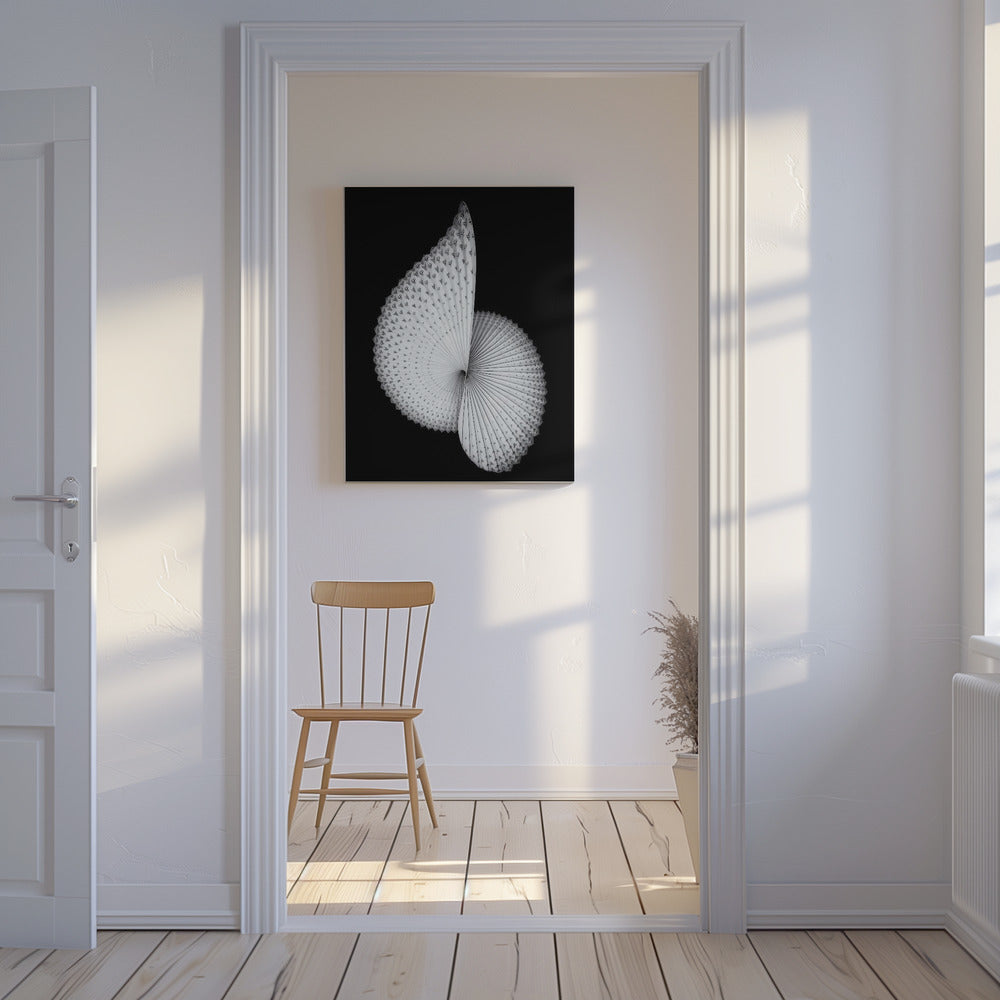 Scultura simile al Nautilus | Stampe su Tela