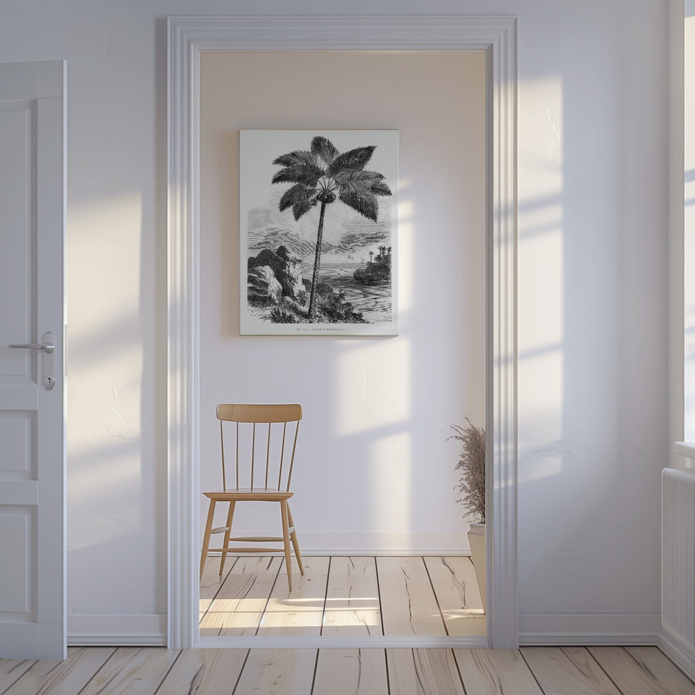 Dibujo de palmera vintage I | Impresiones en Lienzo