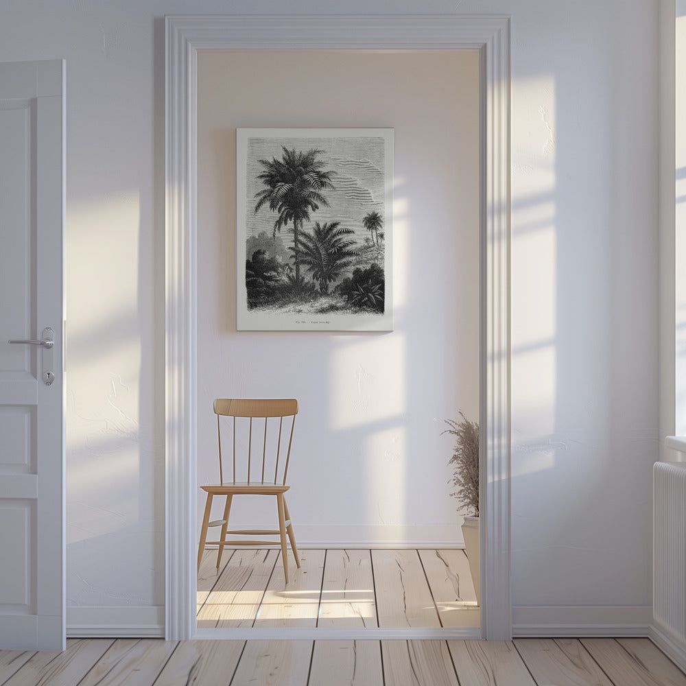 Dibujo de palmera vintage V | Impresiones en Lienzo