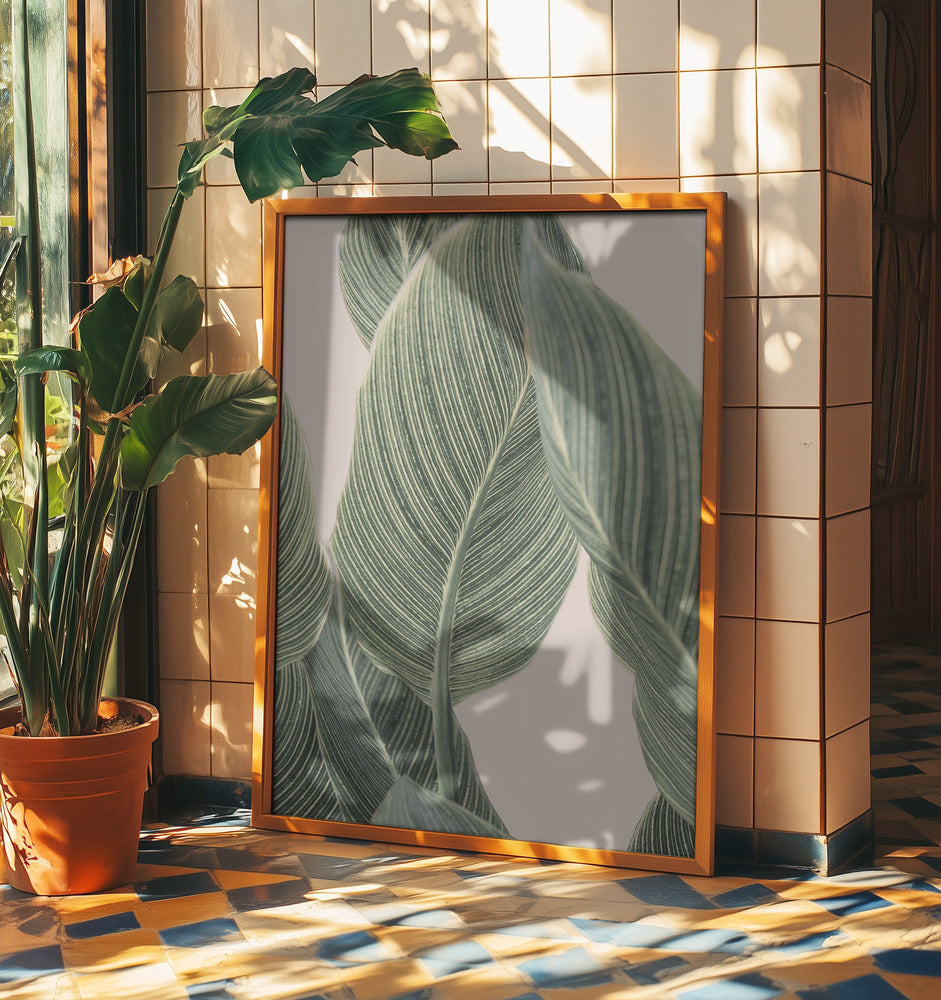 Calla Leaf | Poster