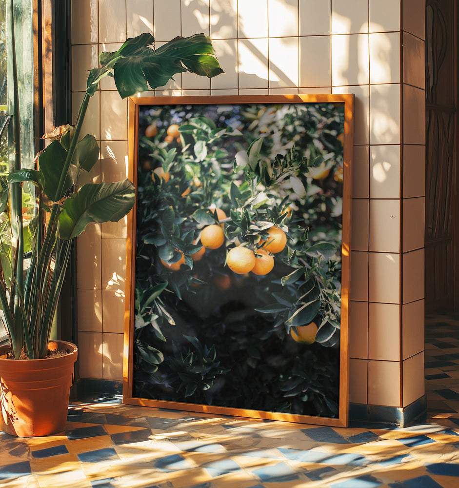 Marrakech Apelsiner | Poster