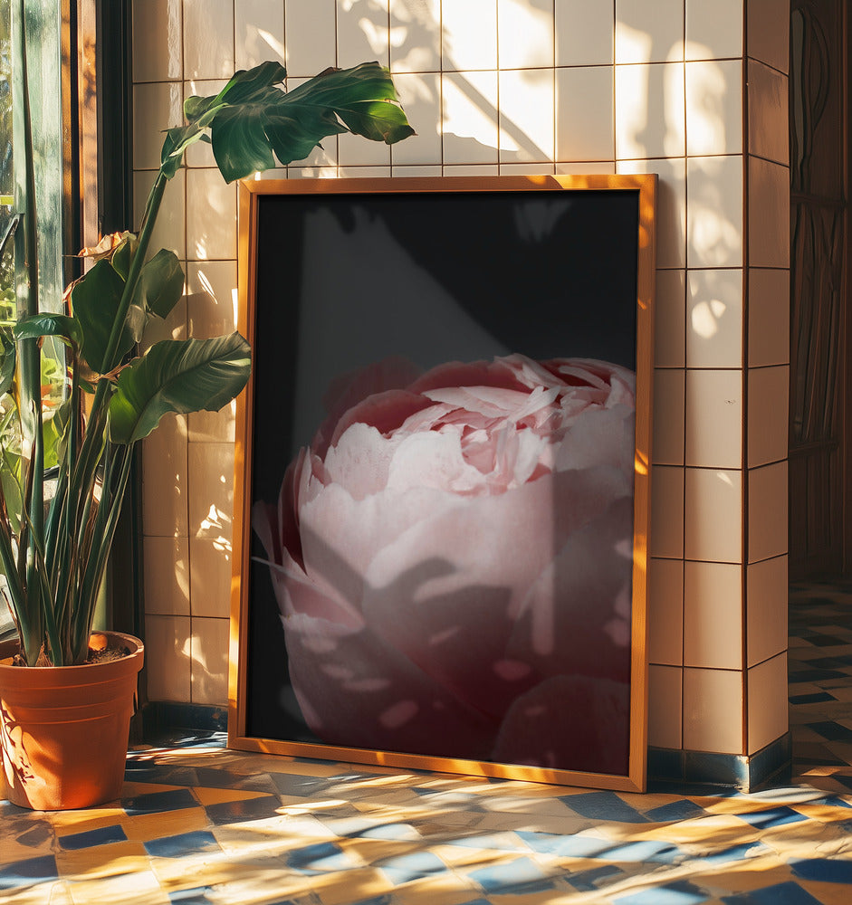 Moody blush peony II | Poster