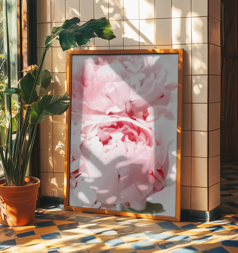 Bllush peony X | Poster