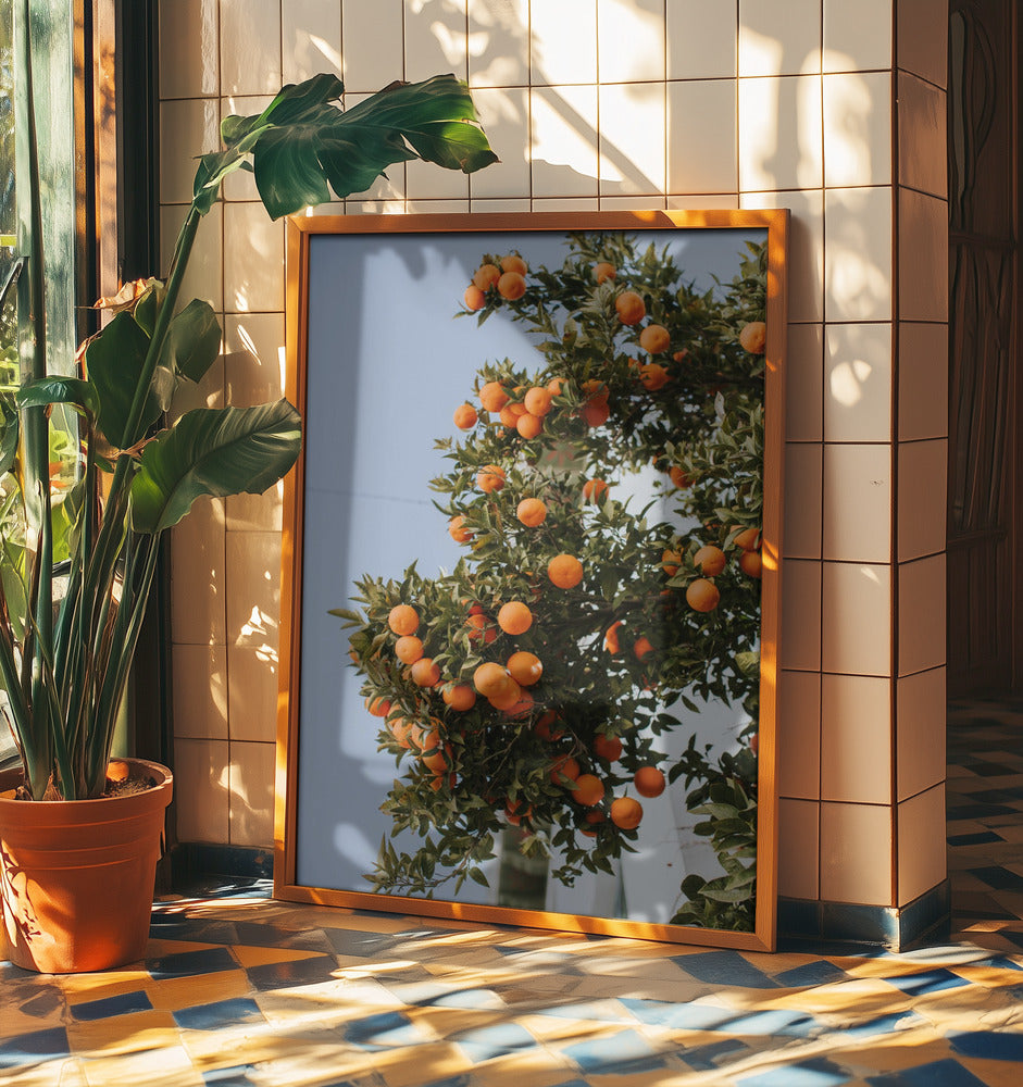 Oranges in Seville | Poster