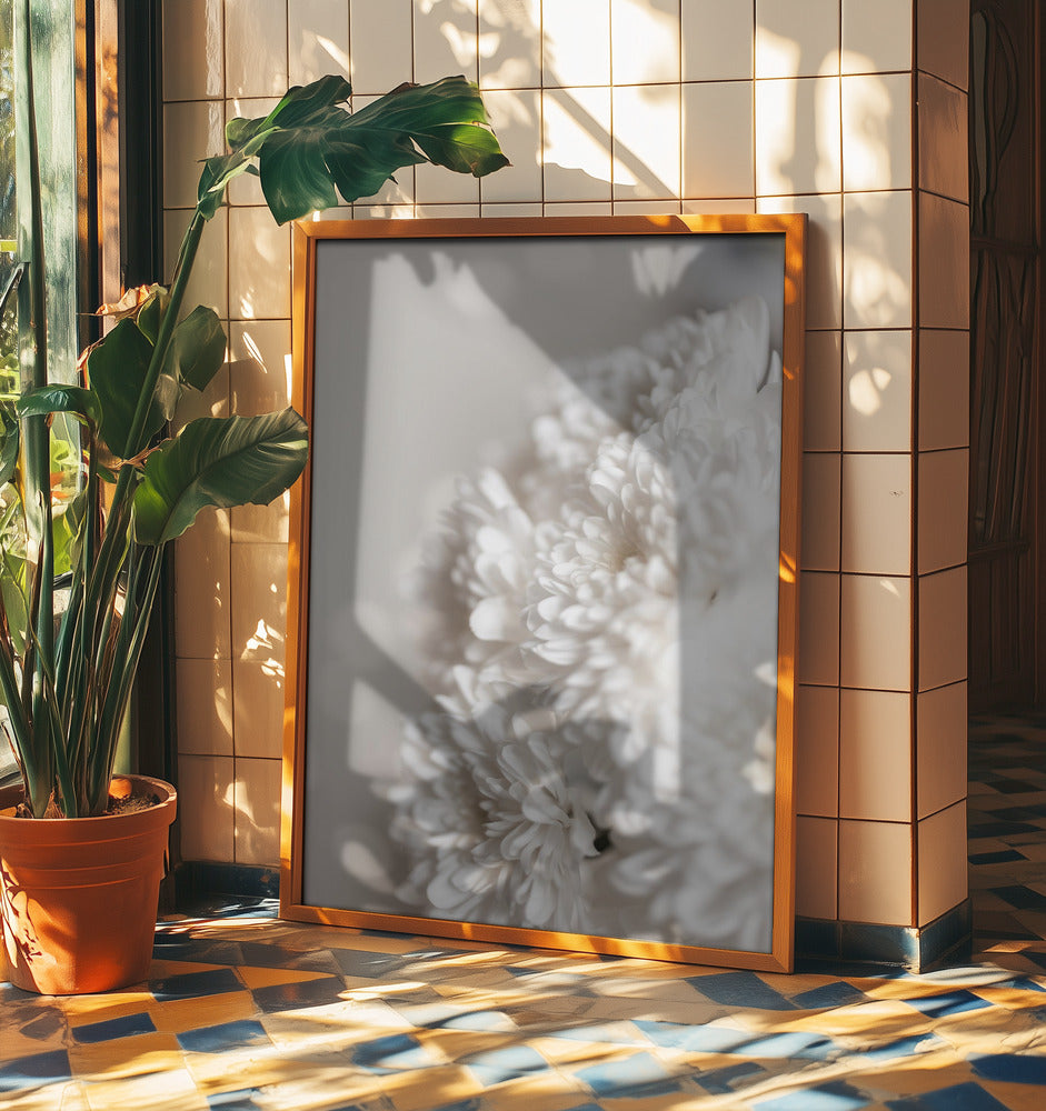 White Flowers | Poster