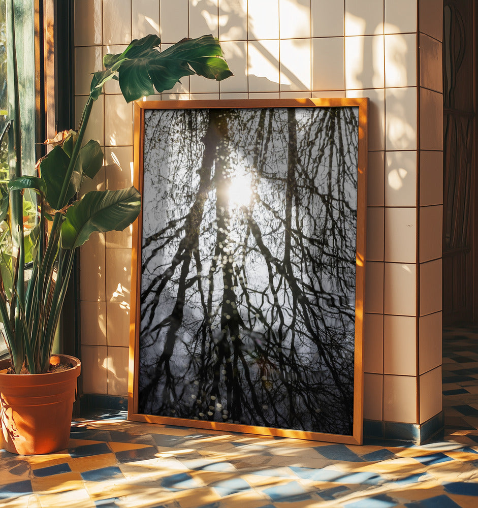 Winter Reflections 4 | Poster