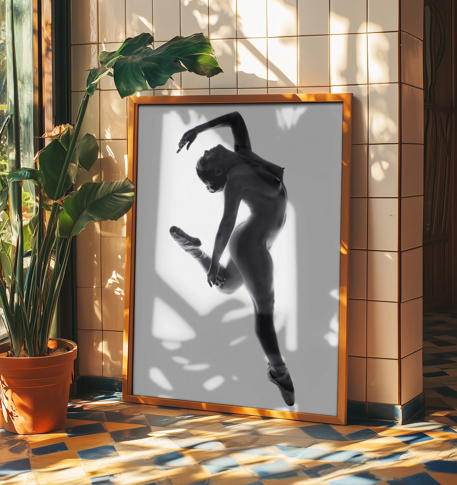 Fine Art Dance ... | Poster