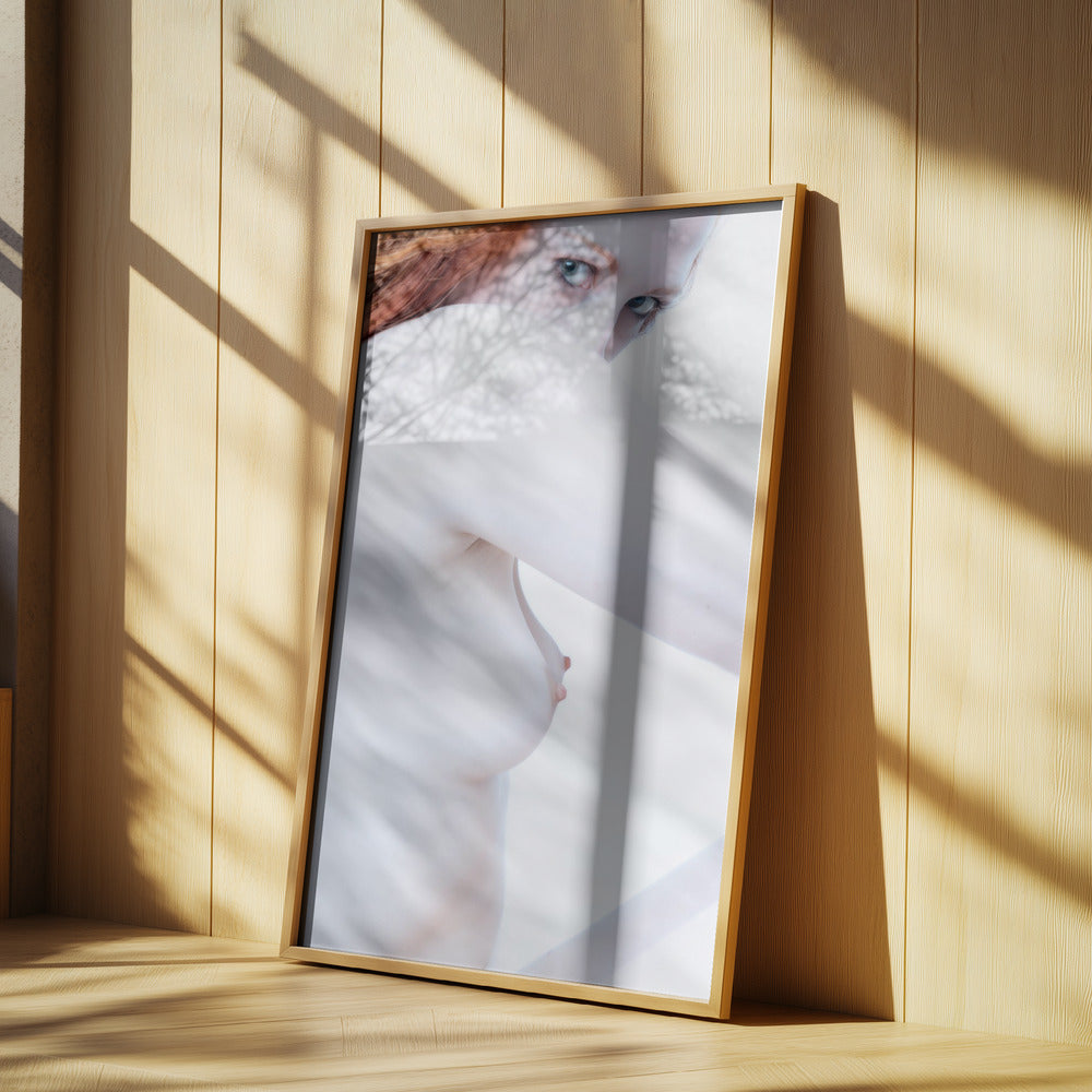 Shapes and Curves 1 | Poster