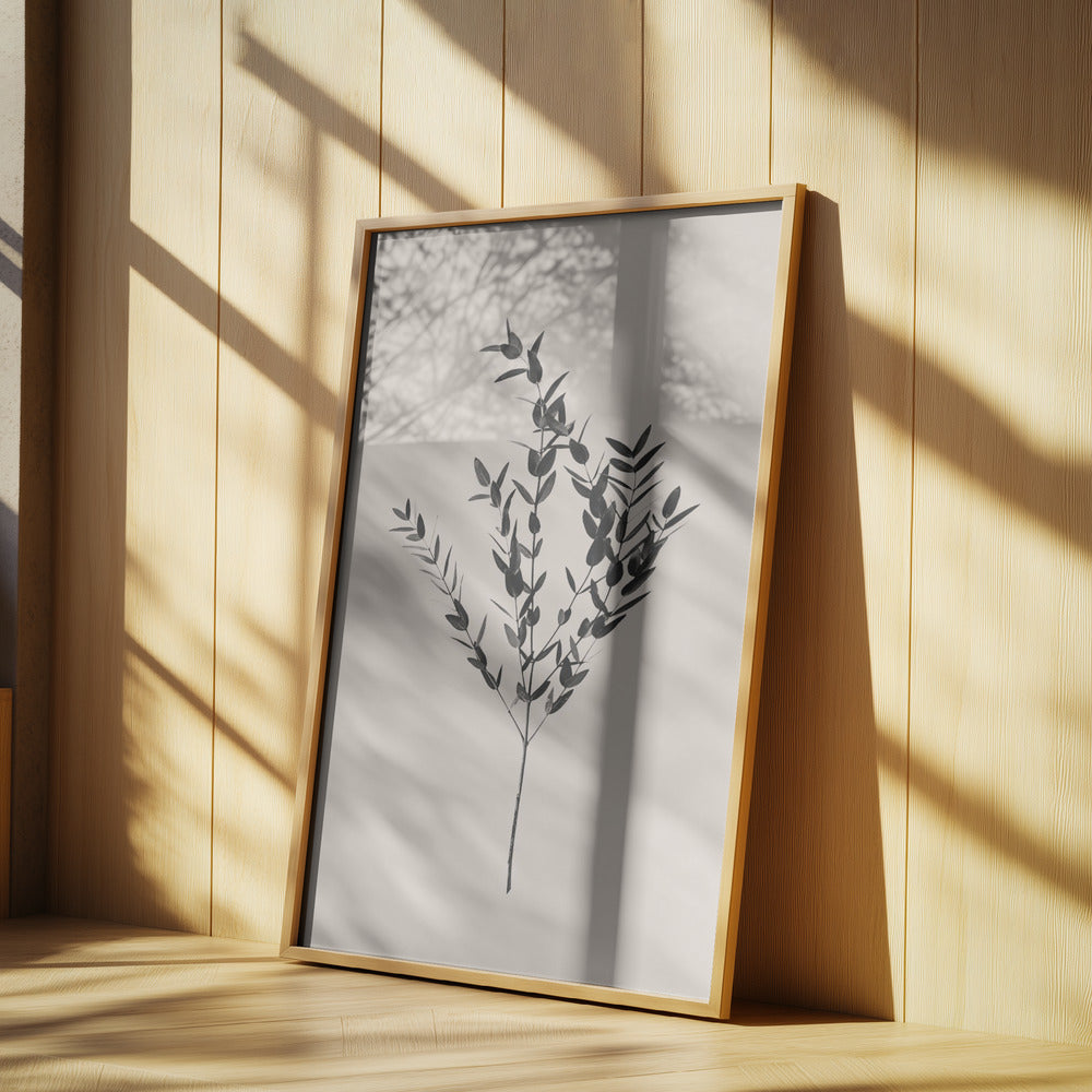 Botanique d'encre | Posters - Affiche Artistique