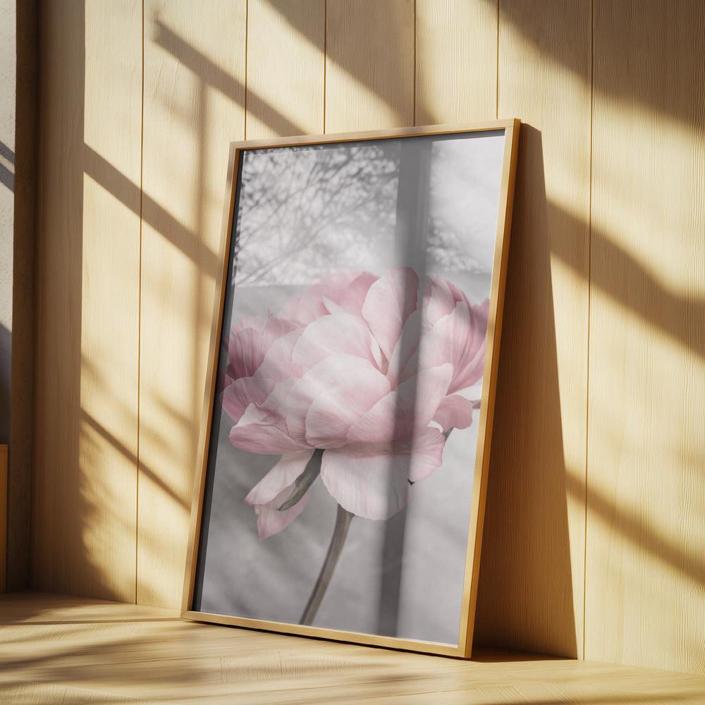 Pion | Poster