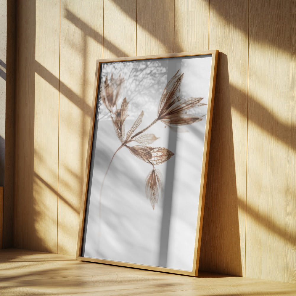 Golden Pant | Poster