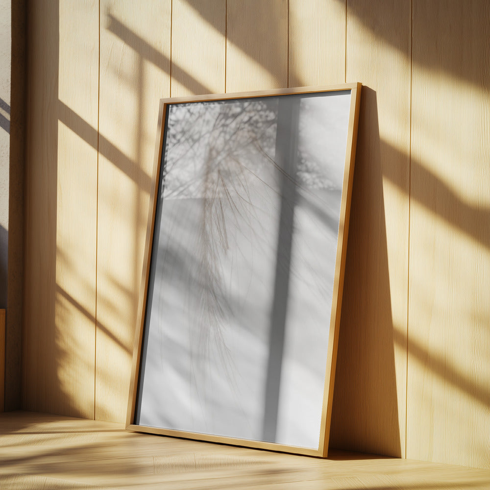 White Feather | Poster