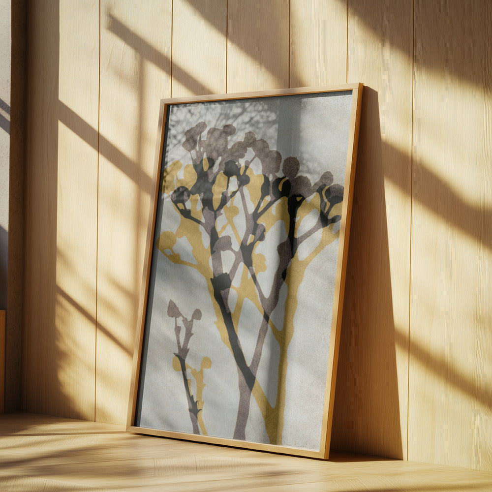 Echos von Gypsophila | Poster