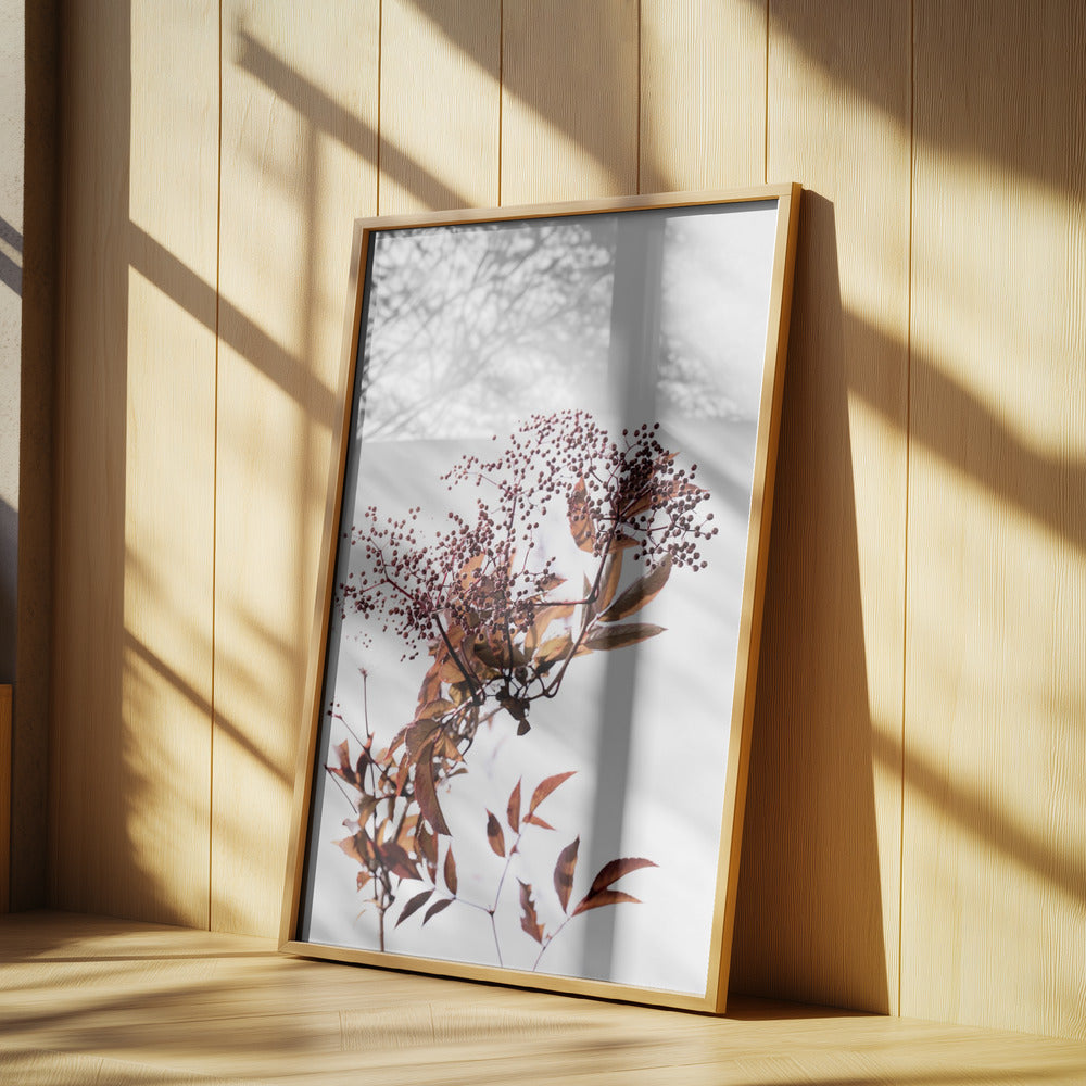 Unknown 14 | Poster