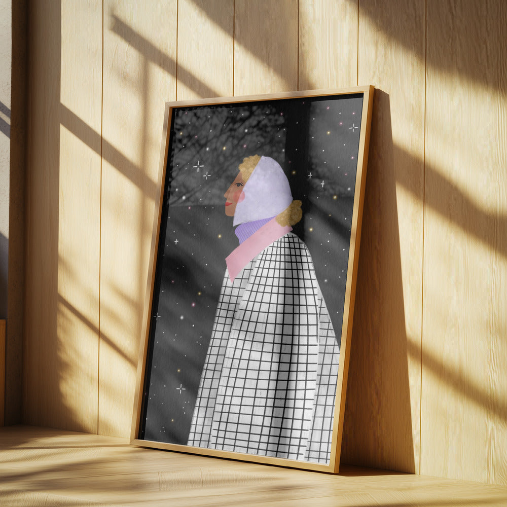 The Lady with the Stars | Poster