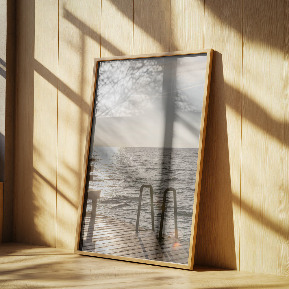 Summer Morning Swim | Poster