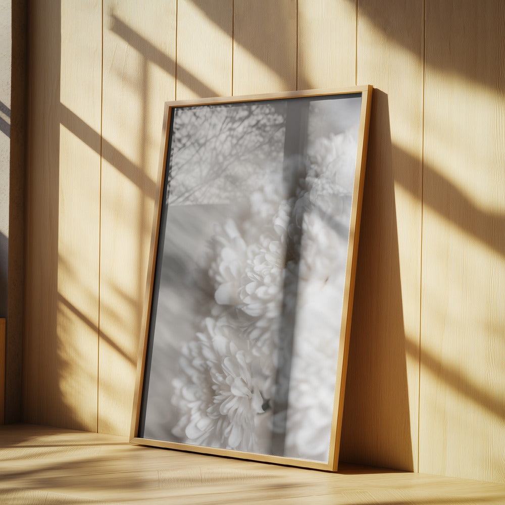 White Flowers | Poster